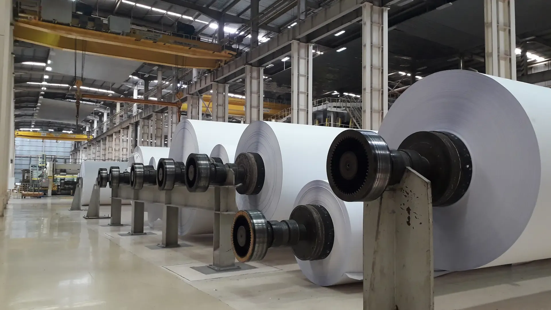 Bobinas jumbo de papel en sus ejes dentro de la nave de producción